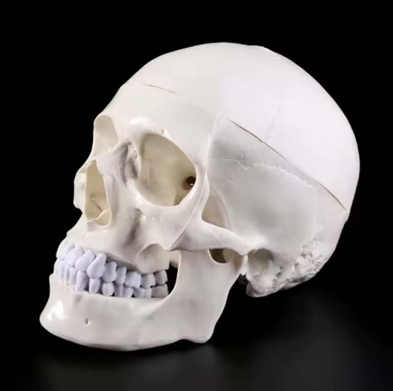 Product Image Product