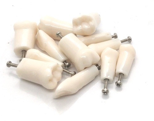 Product Image Product
