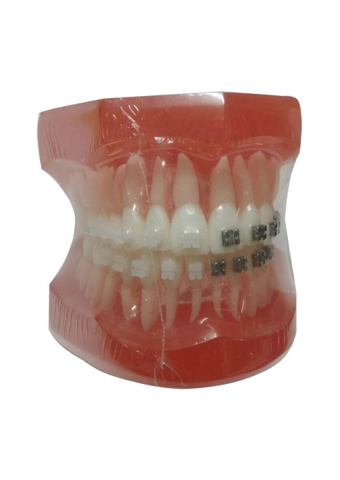 Product Image Product