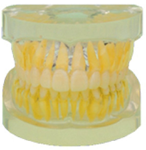 Product Image Product